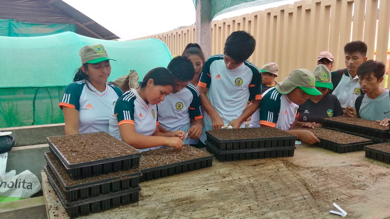 Producción Agropecuaria