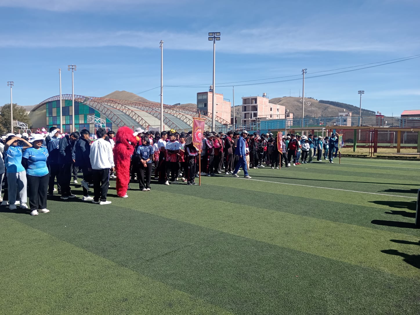 Participación institucional